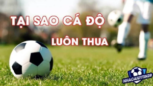 Cách gỡ cá độ bóng đá hiệu quả nhanh chóng nhất