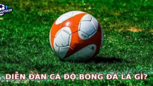 Top các diễn đàn cá độ bóng đá uy tín nhất hiện nay