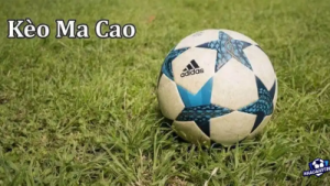 Kèo Macao là gì? Hướng dẫn tính kèo Macao dành cho tân binh