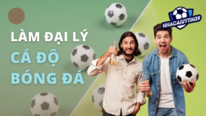 Làm đại lý cá độ bóng đá – Kiếm tiền nhanh, rủi ro thấp