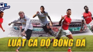 Luật cá độ bóng đá và các thông tin cần lưu ý