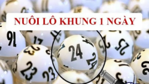 Nuôi lô khung 1 ngày – Hướng dẫn chi tiết dành cho người mới
